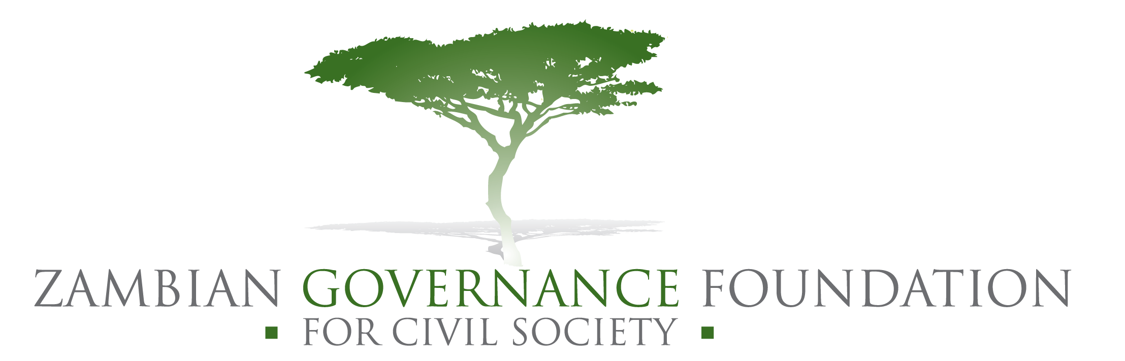 Zambian Governance Foundation (ZGF)